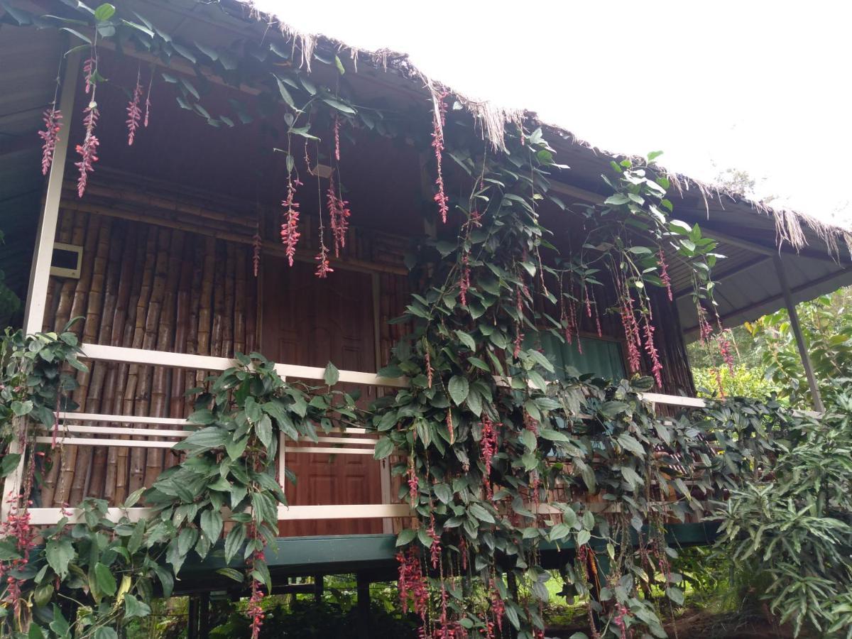 Koomankolly Resort Thirunelly Buitenkant foto