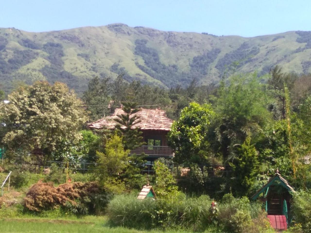 Koomankolly Resort Thirunelly Buitenkant foto
