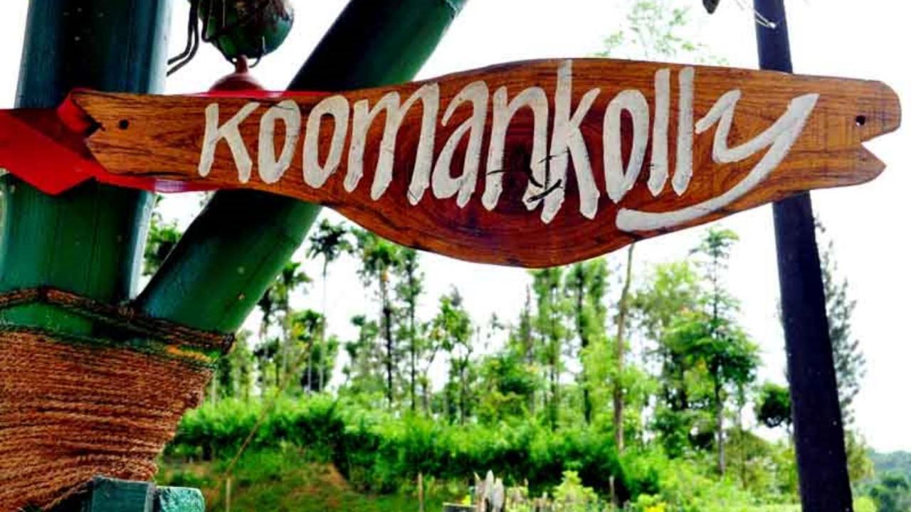 Koomankolly Resort Thirunelly Buitenkant foto