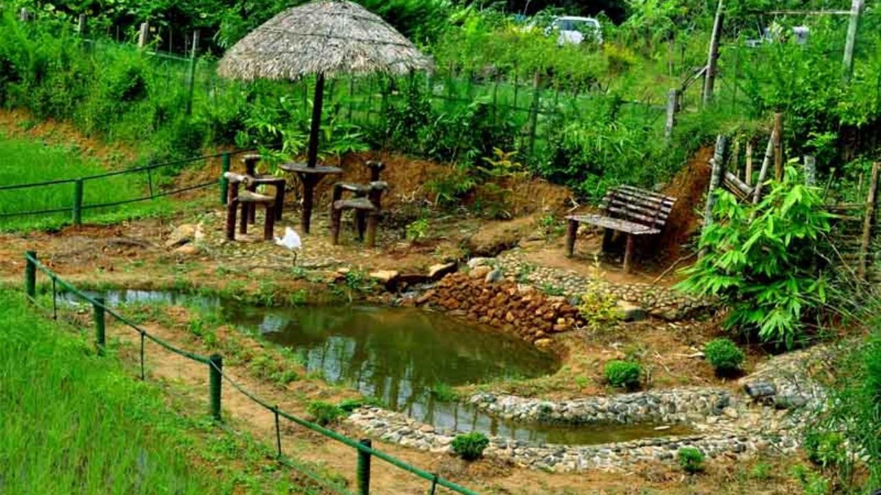 Koomankolly Resort Thirunelly Buitenkant foto