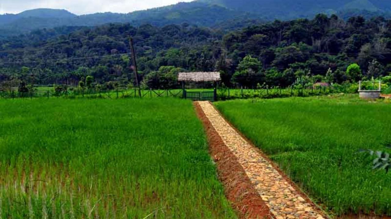 Koomankolly Resort Thirunelly Buitenkant foto